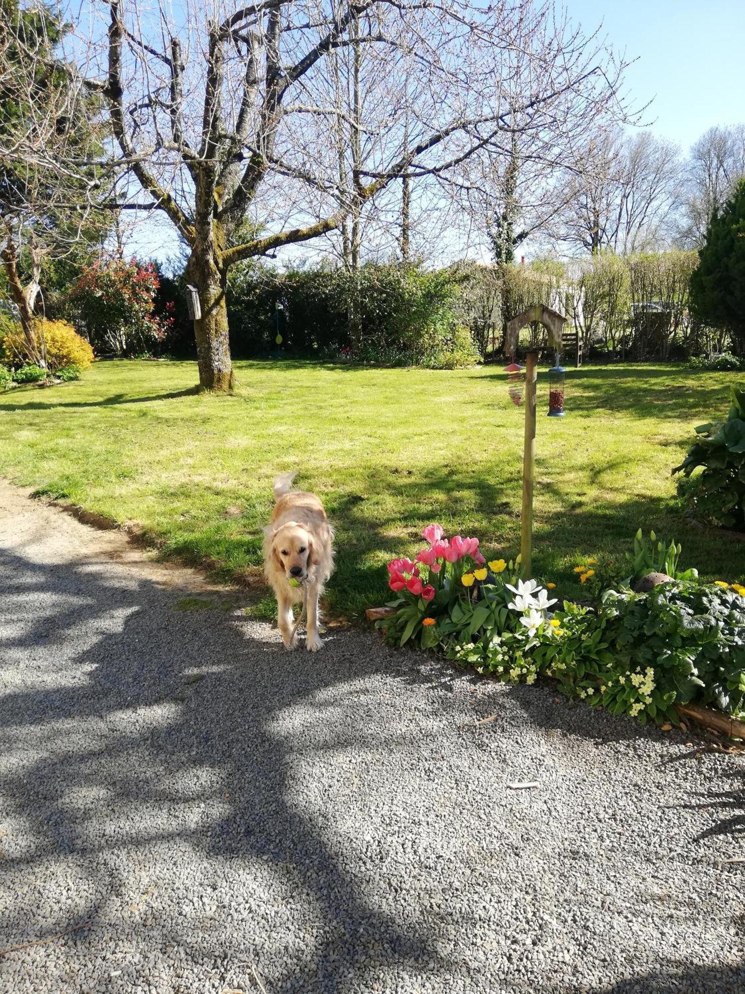 Papillons B&B - Beauty, Comfort And Peace 25 Mins From Puy Du Fou Montournais Экстерьер фото